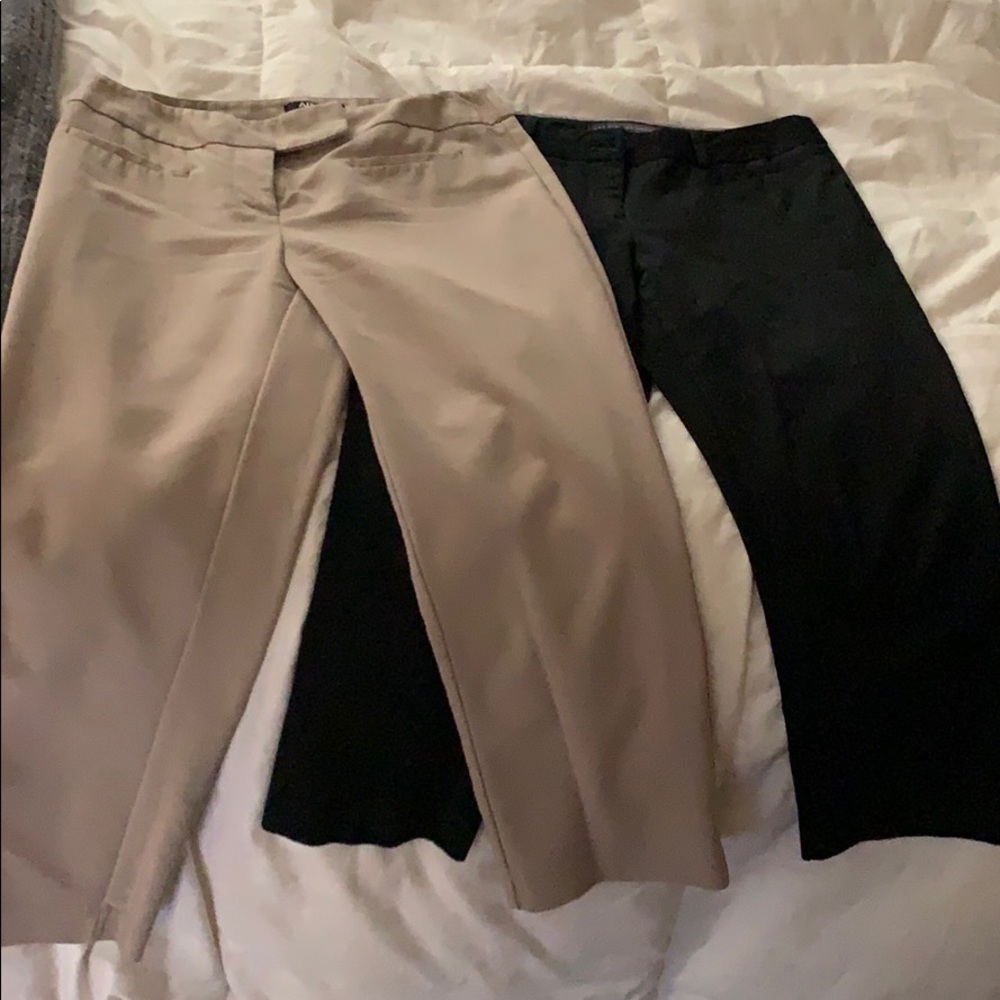 Dress pants
